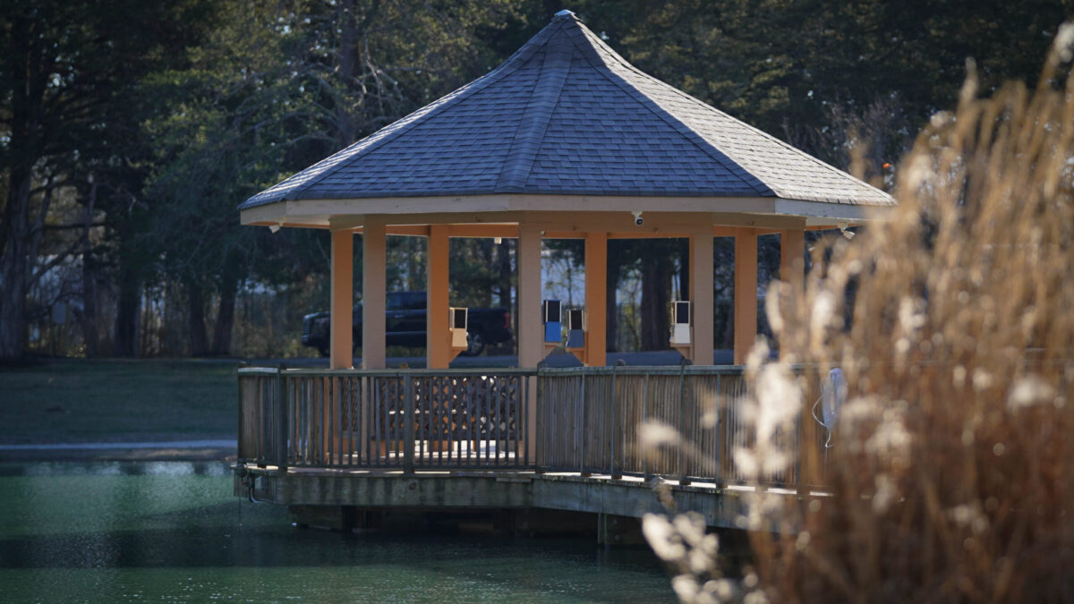 HallProctor Institute for Child Advocacy Ministry Children's Defense